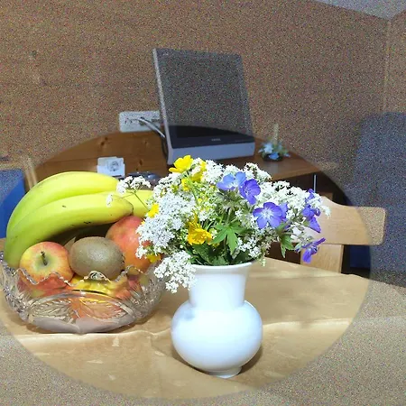 Ferienwohnung Ferienbauernhof Moosbrugger Schoppernau Zimmer foto
